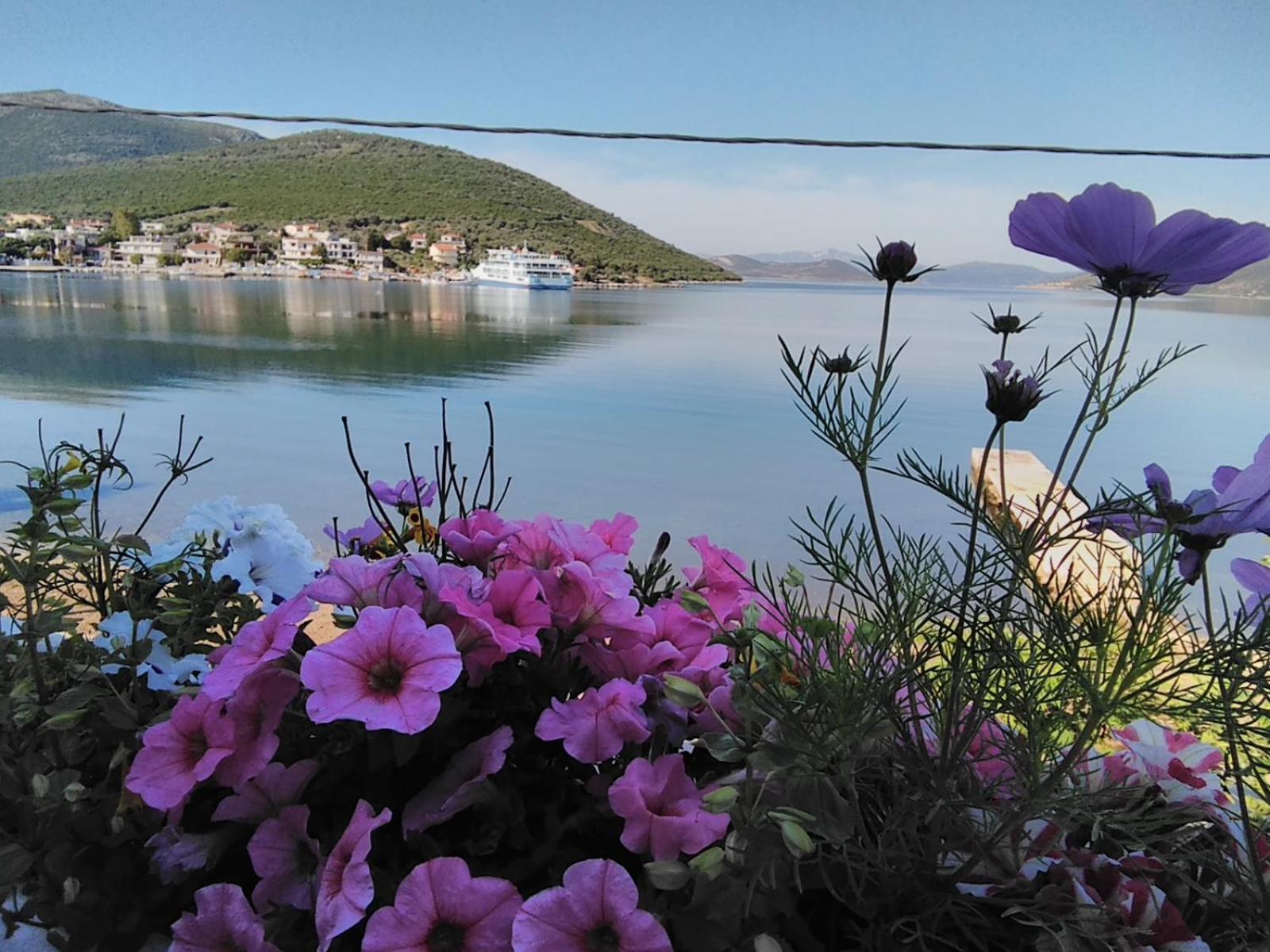 Hostal Meli-Ios Almiropótamos Exterior foto